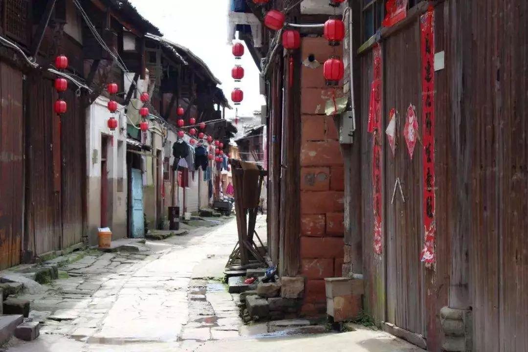 “咖”位满满!云南小粒咖啡走出山乡 勇闯大世界